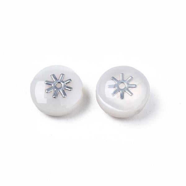 Natural Freshwater Shell Beads