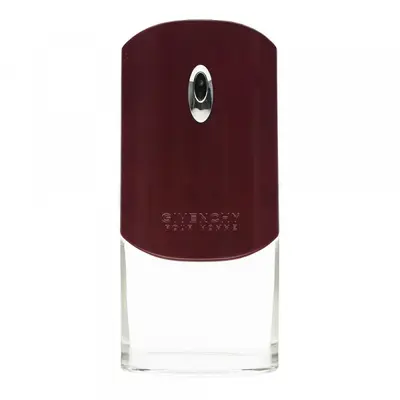 Givenchy Pour Homme Eau de Toilette Men 100 ml