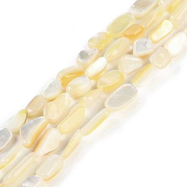 Natural Trochus Shell Beads Strands