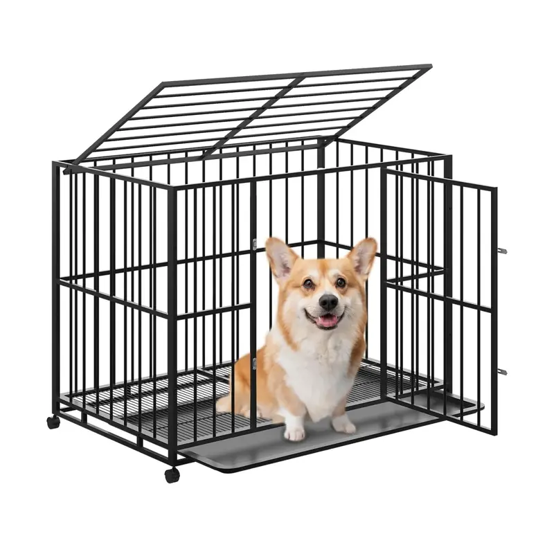 Garvee 36 Inch Dog Crate for Small Sized Dogs, Heavy Duty Stainless Steel Dog Kennel Indoor Escape Proof with Wheels and Remo...