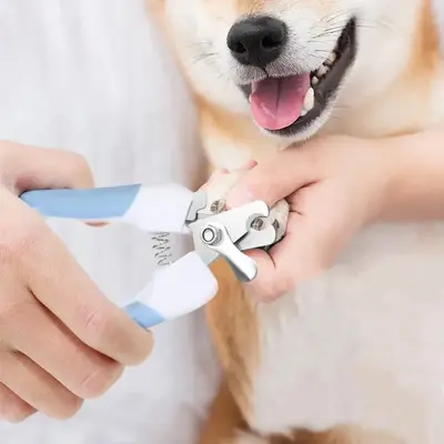 Pet Nail Clipper, 1 Count Stainless Steel Pet Nail Clipper, Pet Nail Trimmer, Pets Nail Clipper, Cat Nail Clipper, Dog Nail C...