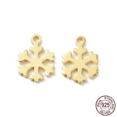 925 Sterling Silver Charms