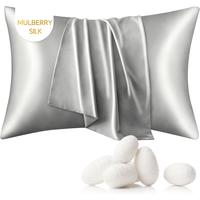 Mulberry Silk Pillow Case - Pillowcase for Hair and Skin, Queen Size 20x30 Inches, Grey Silk Pillow Case with Hidden Zipper, ...