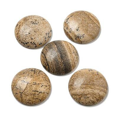 Natural Picture Jasper Cabochons