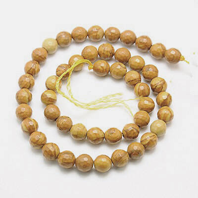 Natural Petrified Wood Beads Strands