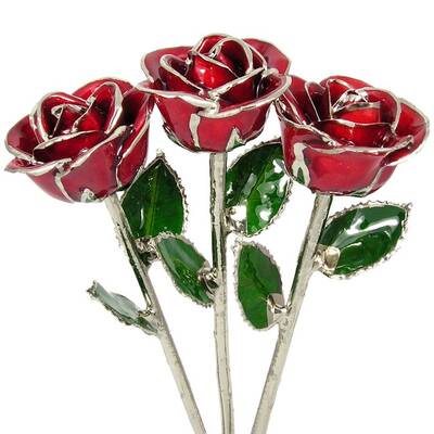 3 Past, Present, Future 11 Platinum Trimmed Roses