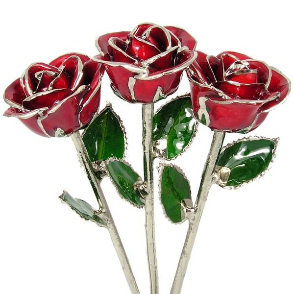 3 Past, Present, Future 11 Platinum Trimmed Roses