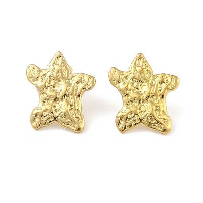 Ion Plating(IP) 304 Stainless Steel Stud Earrings for Women