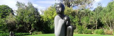 Kirstenbosch Walking Tour