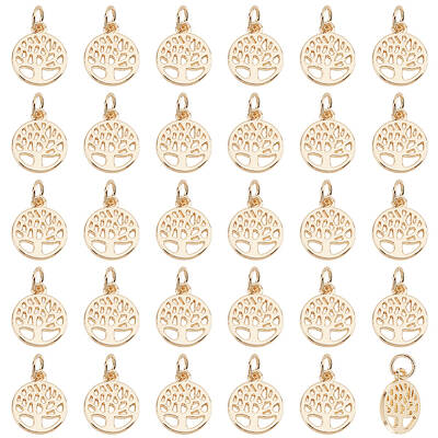 50Pcs Alloy Charms