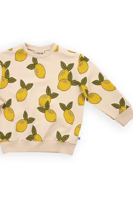 Organic cotton kid's jumper - Lemon | Size: 2-4 years
