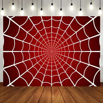 Red White Spider Wab Halloween Birthday Backdrop