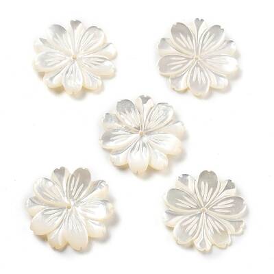 Natural White Shell Carved Beads
