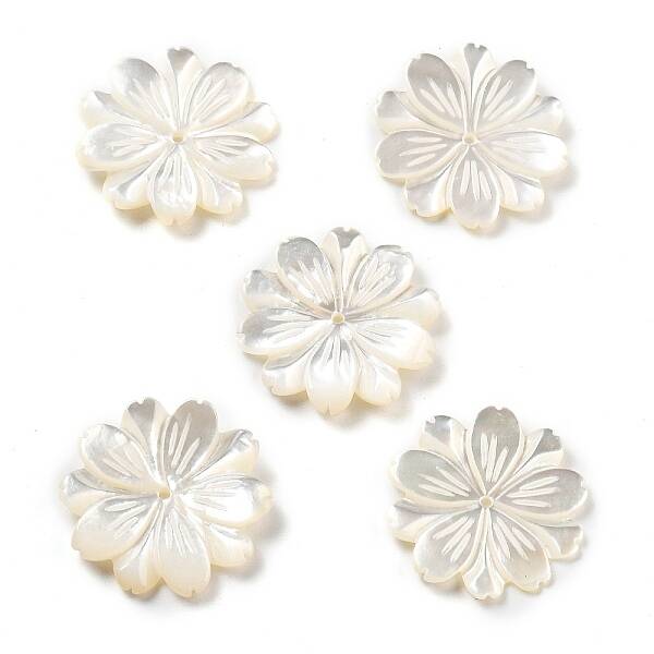 Natural White Shell Carved Beads