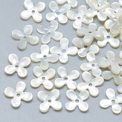 Natural White Shell Beads