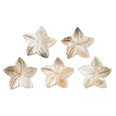 Natural Black Lip Shell Pendants