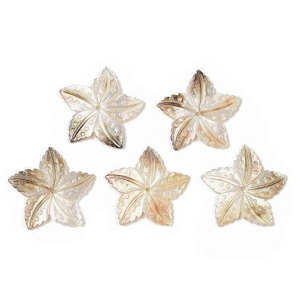 Natural Black Lip Shell Pendants