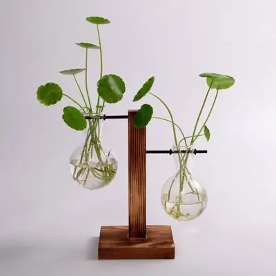 Plant Terrarium With Wooden Stand, 1 Count Hanging Glass Plant Holder Ornament For Plant Propagation Office Home Decor With 2...