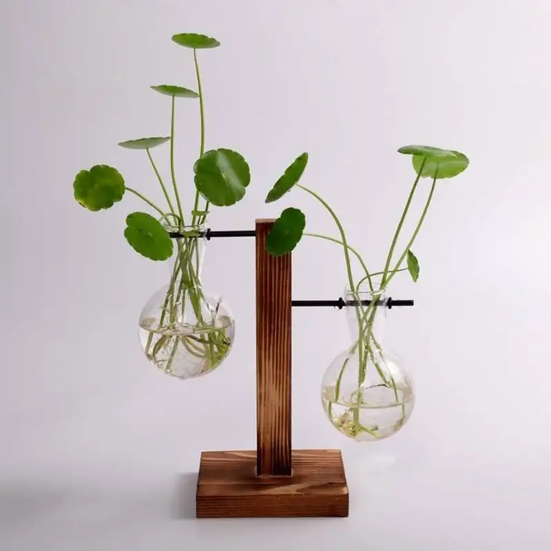 Plant Terrarium With Wooden Stand, 1 Count Hanging Glass Plant Holder Ornament For Plant Propagation Office Home Decor With 2...