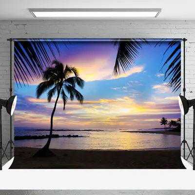 Sunset Palm Trees Beach Summer Backdrop For Photo