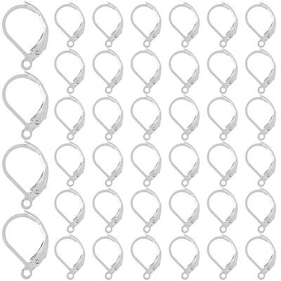 304 Stainless Steel Leverback Earring Findings