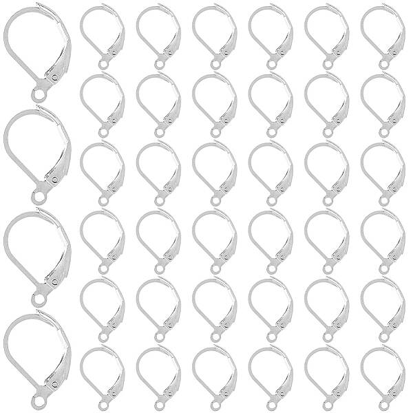 304 Stainless Steel Leverback Earring Findings