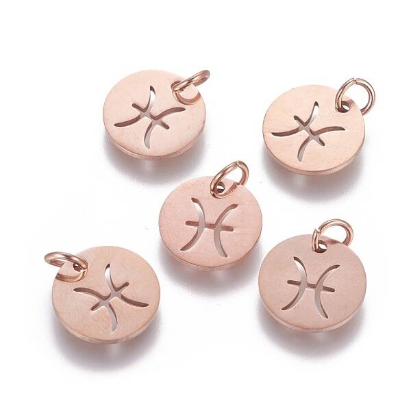 304 Stainless Steel Charms