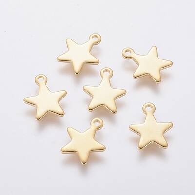 304 Stainless Steel Charms