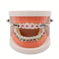A Set of Metal Bracket and Orthodontic Binding Cable StainlessSteel Temporary Teeth Decoration Suit,Tasteless Upper and Lower...