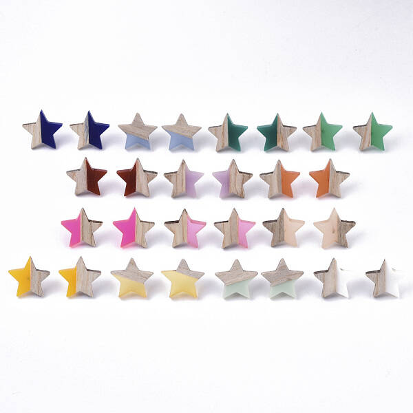 Resin & Wood Stud Earrings