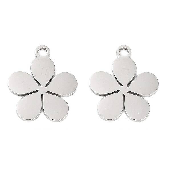 Non-Tarnish 316 Stainless Steel Charms