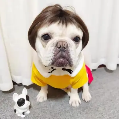 Funny Pet Wig, Pet Headdress with Bow Tie, Pet Hair Accessories for Party Costume, Dog & Cat Clothing