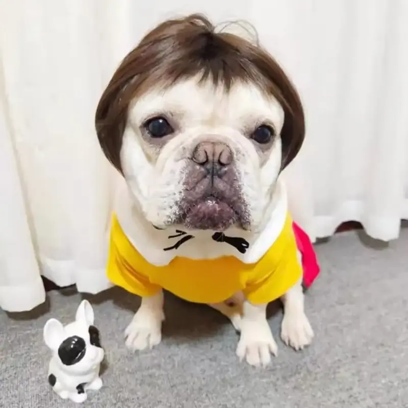 Funny Pet Wig, Pet Headdress with Bow Tie, Pet Hair Accessories for Party Costume, Dog & Cat Clothing