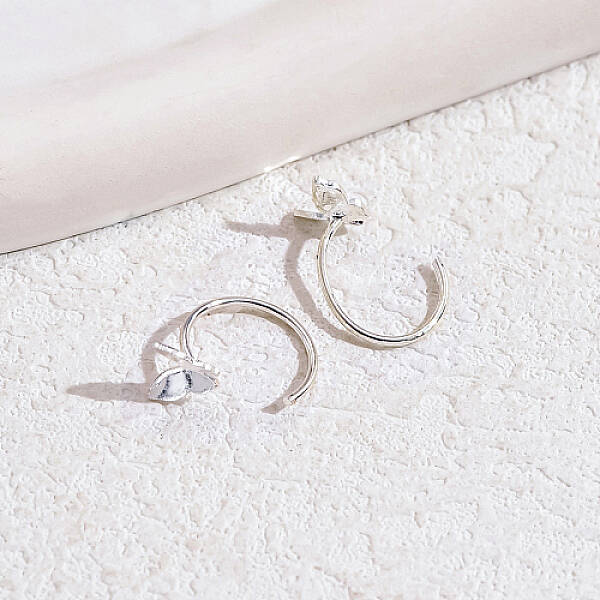 Platinum Brass Dangle Earrings