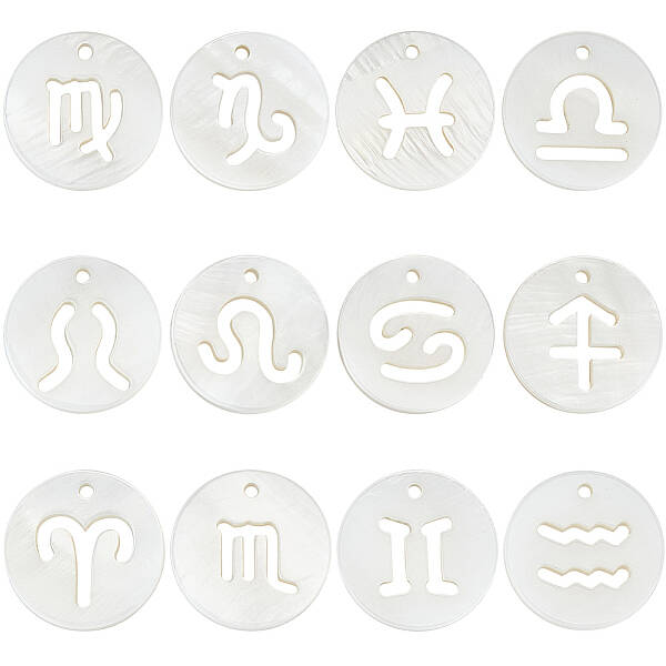 24Pcs 12 Styles 12 Constellation Natural Freshwater Shell Hollower Flat Round Charms