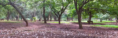 Cubbon Park Heritage Walk