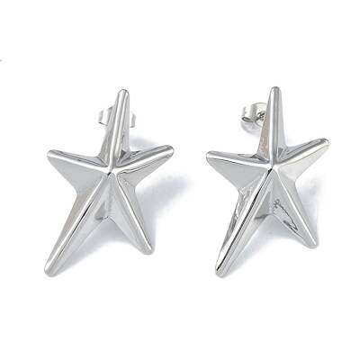 Non-Tarnish 304 Stainless Steel Stud Earrings for Women