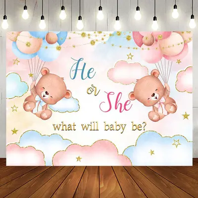 Pink Blue Gold Clouds Bears Gender Reveal Backdrop - Aperturee