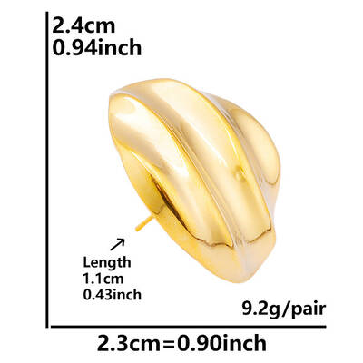 Irregular Shape Stainless Steel Stud Earrings