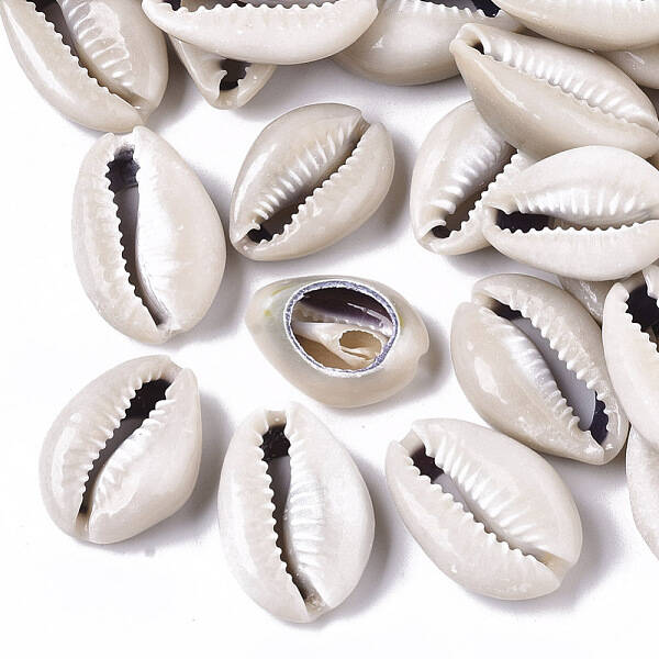 Natural Cowrie Shell Beads