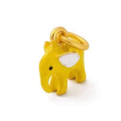 Alloy Enamel Charms
