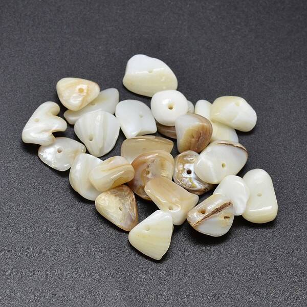 Natural Freshwater Shell Nuggets Chips Beads