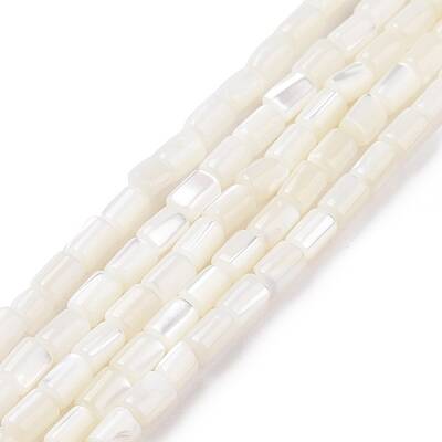 Natural Trochus Shell Beads Strands