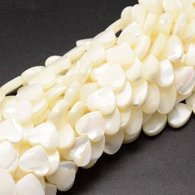 Natural Trochid Shell/Trochus Shell Beads Strands