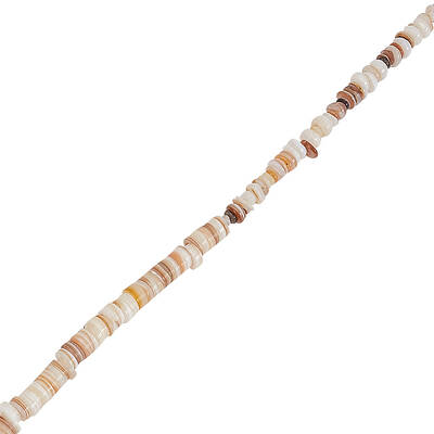 Natural Shell Beads Strands