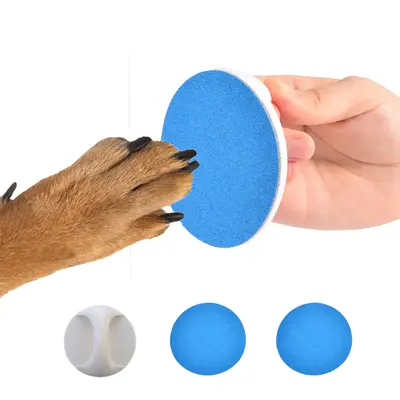 Upgraded Dog Nail File | Color: Blue