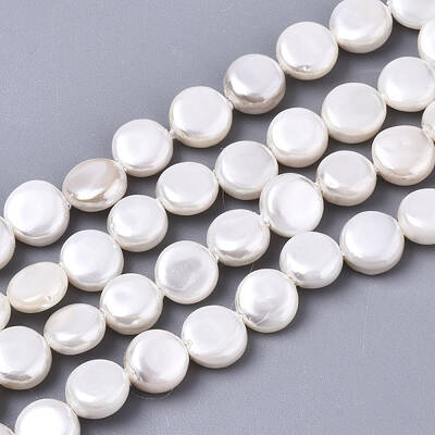 Natural Freshwater Shell Beads Strands
