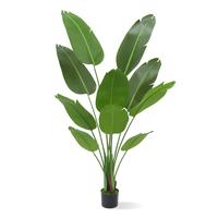 Elegant Artificial Bird of Paradise Tree - 5.25ft Tropical Plant with 10 Lifelike Silk Leaves, Perfect for Home, Office, Pati...