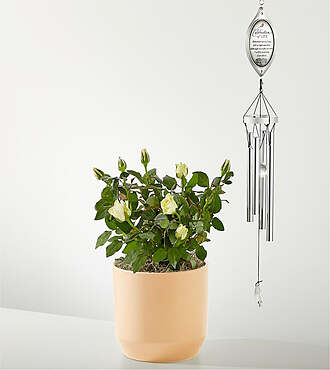White Mini Rose and Celebration of Life Windchime - FedEx