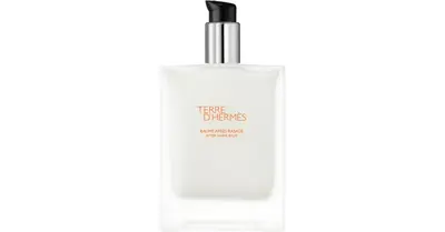 HERMÈS Terre d'Hermès men's perfume 100 ml
